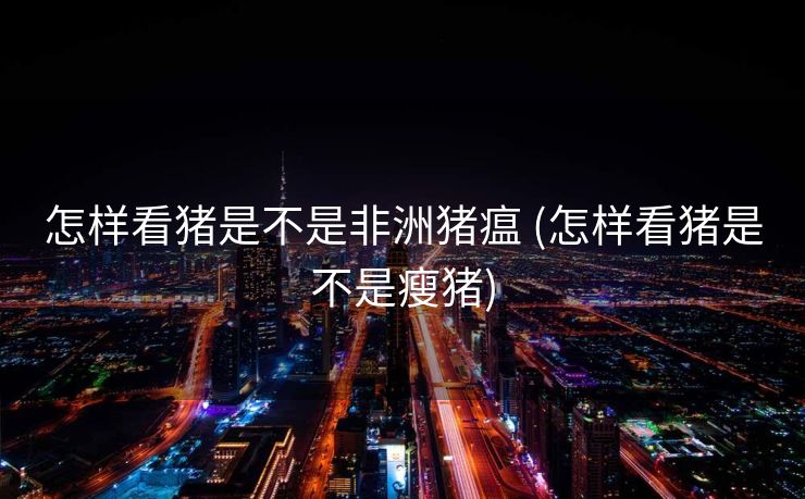 怎样看猪是不是非洲猪瘟 (怎样看猪是不是瘦猪)