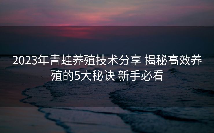 2023年青蛙养殖技术分享 揭秘高效养殖的5大秘诀 新手必看