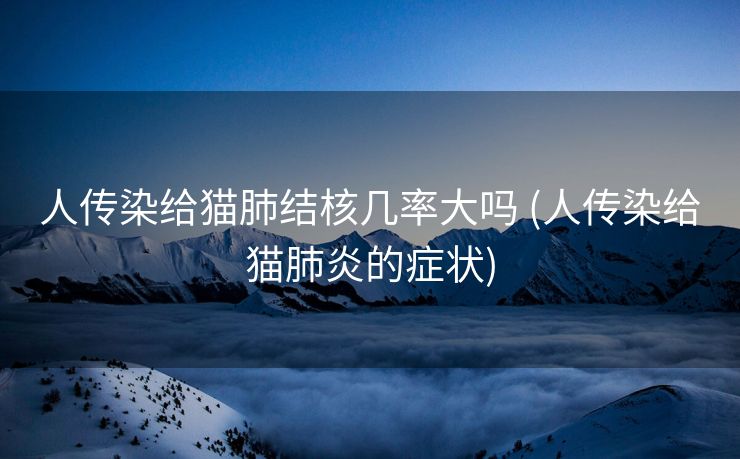 人传染给猫肺结核几率大吗 (人传染给猫肺炎的症状)