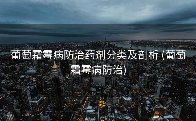 葡萄霜霉病防治药剂分类及剖析 (葡萄霜霉病防治)