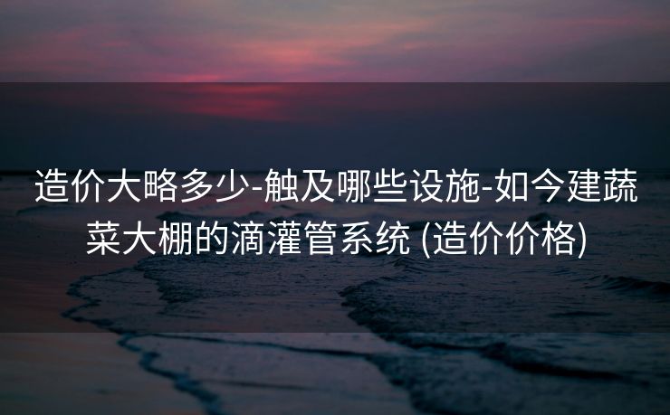 造价大略多少-触及哪些设施-如今建蔬菜大棚的滴灌管系统 (造价价格)