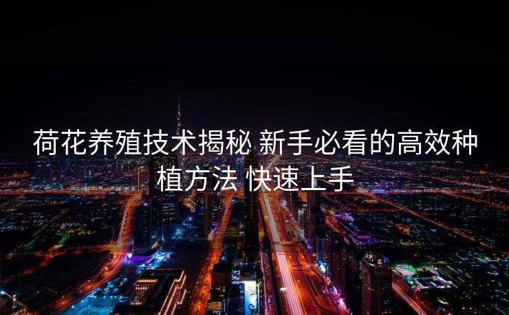 荷花养殖技术揭秘 新手必看的高效种植方法 快速上手