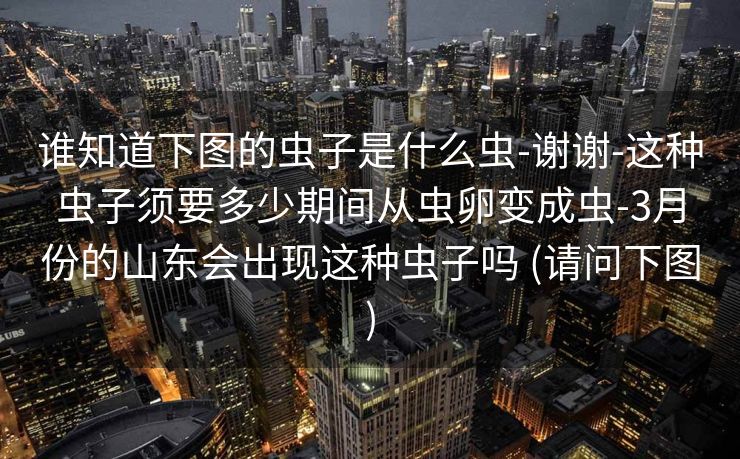 谁知道下图的虫子是什么虫-谢谢-这种虫子须要多少期间从虫卵变成虫-3月份的山东会出现这种虫子吗 (请问下图)