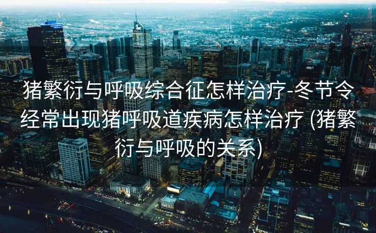 猪繁衍与呼吸综合征怎样治疗-冬节令经常出现猪呼吸道疾病怎样治疗 (猪繁衍与呼吸的关系)