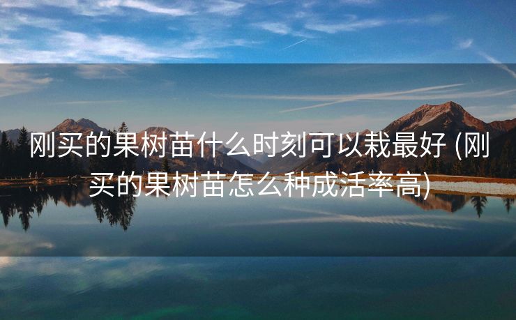 刚买的果树苗什么时刻可以栽最好 (刚买的果树苗怎么种成活率高)