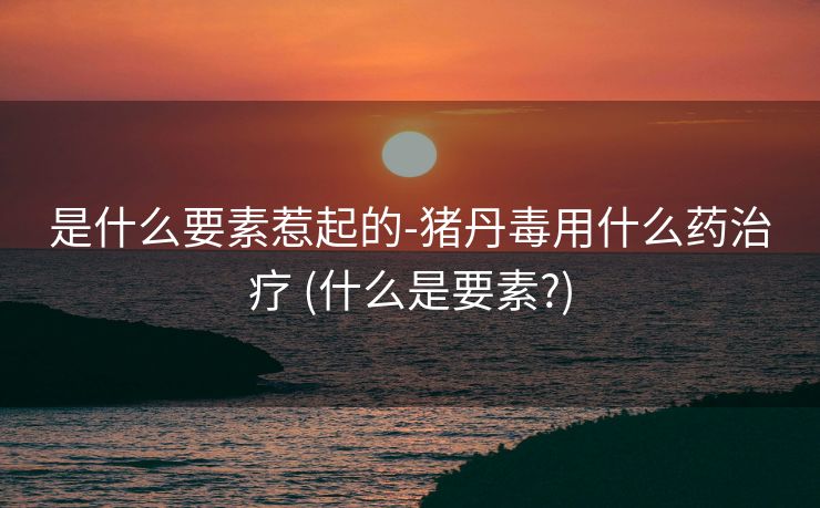 是什么要素惹起的-猪丹毒用什么药治疗 (什么是要素?)