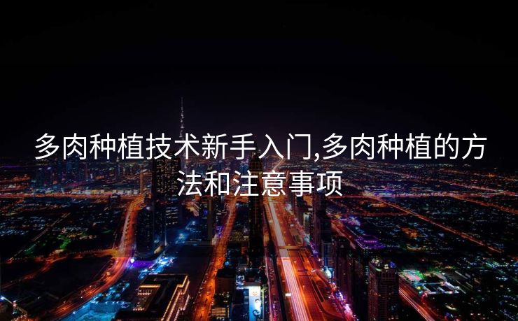 多肉种植技术新手入门,多肉种植的方法和注意事项