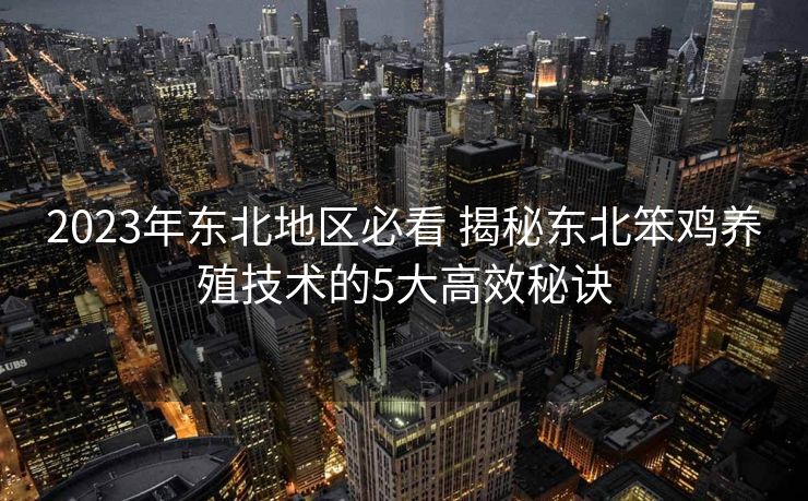 2023年东北地区必看 揭秘东北笨鸡养殖技术的5大高效秘诀