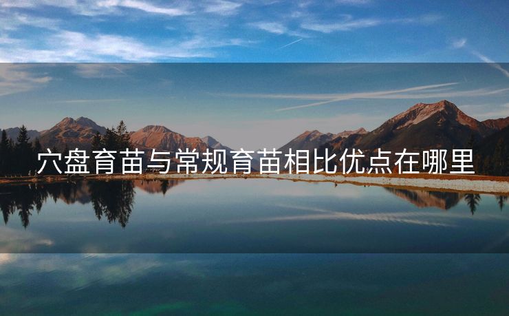 穴盘育苗与常规育苗相比优点在哪里