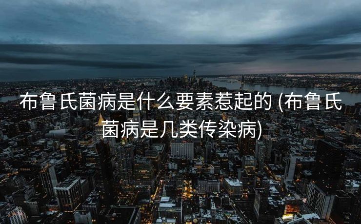 布鲁氏菌病是什么要素惹起的 (布鲁氏菌病是几类传染病)