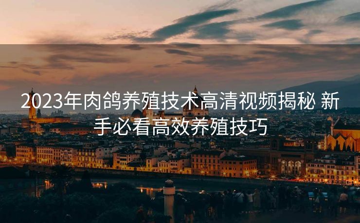 2023年肉鸽养殖技术高清视频揭秘 新手必看高效养殖技巧