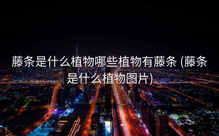 藤条是什么植物哪些植物有藤条 (藤条是什么植物图片)