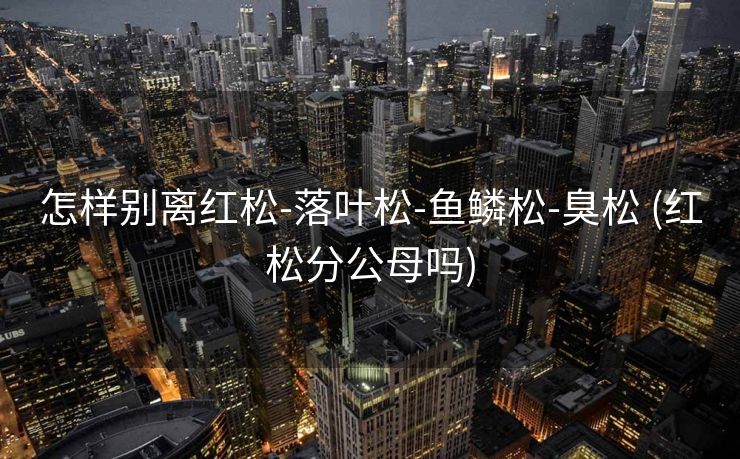 怎样别离红松-落叶松-鱼鳞松-臭松 (红松分公母吗)