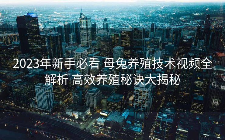 2023年新手必看 母兔养殖技术视频全解析 高效养殖秘诀大揭秘