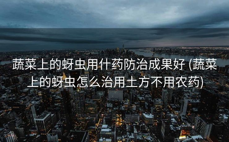 蔬菜上的蚜虫用什药防治成果好 (蔬菜上的蚜虫怎么治用土方不用农药)