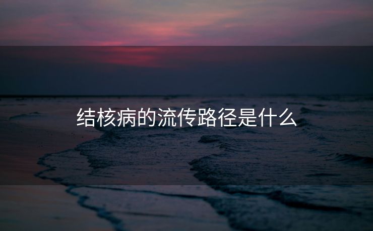 结核病的流传路径是什么