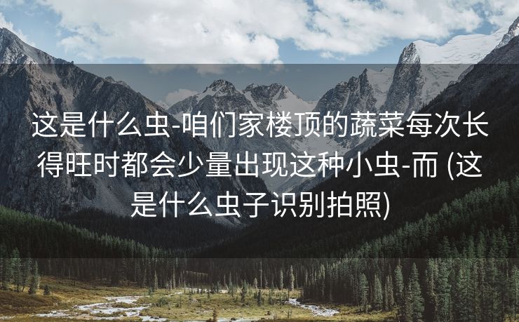 这是什么虫-咱们家楼顶的蔬菜每次长得旺时都会少量出现这种小虫-而 (这是什么虫子识别拍照)