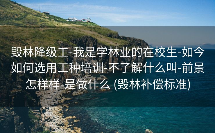 毁林降级工-我是学林业的在校生-如今如何选用工种培训-不了解什么叫-前景怎样样-是做什么 (毁林补偿标准)