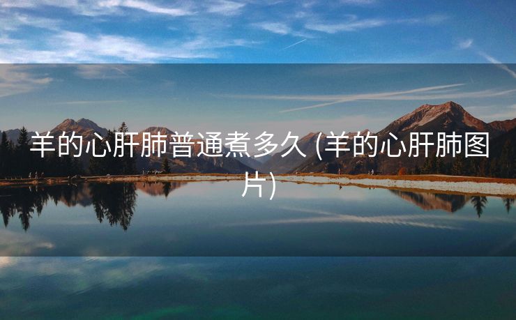 羊的心肝肺普通煮多久 (羊的心肝肺图片)