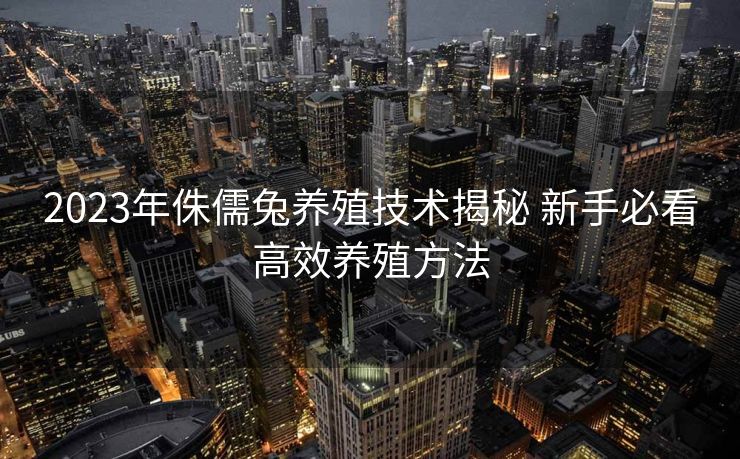 2023年侏儒兔养殖技术揭秘 新手必看高效养殖方法