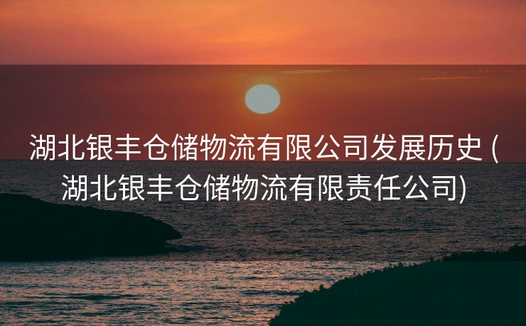 湖北银丰仓储物流有限公司发展历史 (湖北银丰仓储物流有限责任公司)