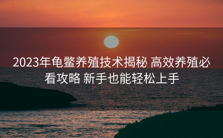 2023年龟鳖养殖技术揭秘 高效养殖必看攻略 新手也能轻松上手