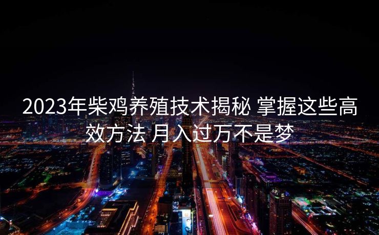 2023年柴鸡养殖技术揭秘 掌握这些高效方法 月入过万不是梦