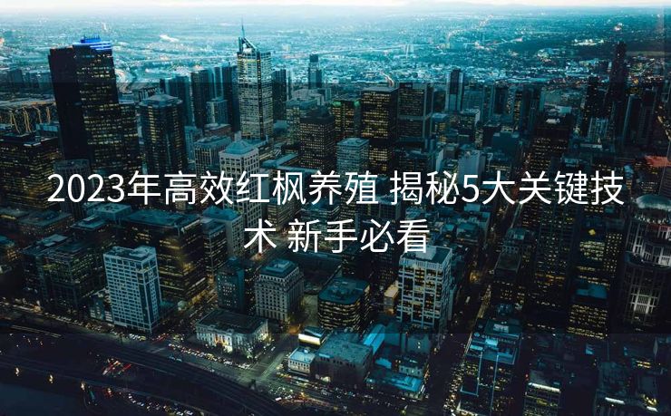 2023年高效红枫养殖 揭秘5大关键技术 新手必看