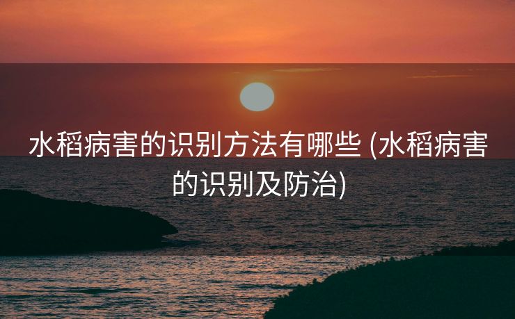 水稻病害的识别方法有哪些 (水稻病害的识别及防治)