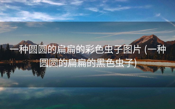 一种圆圆的扁扁的彩色虫子图片 (一种圆圆的扁扁的黑色虫子)