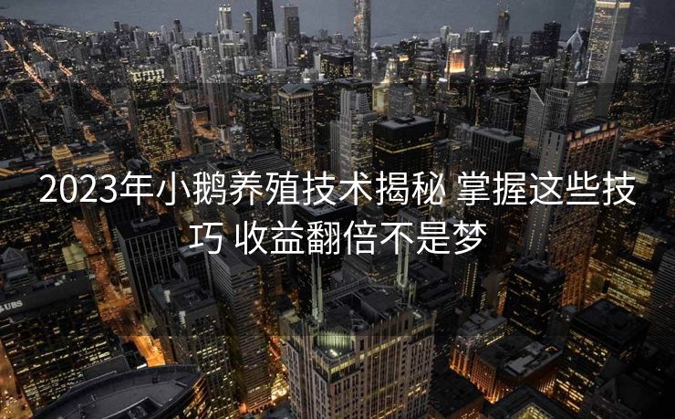 2023年小鹅养殖技术揭秘 掌握这些技巧 收益翻倍不是梦