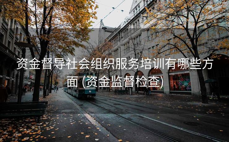 资金督导社会组织服务培训有哪些方面 (资金监督检查)