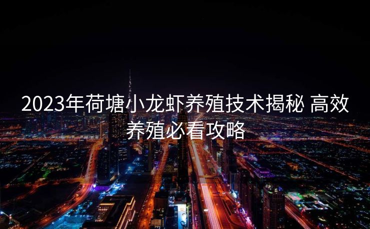 2023年荷塘小龙虾养殖技术揭秘 高效养殖必看攻略