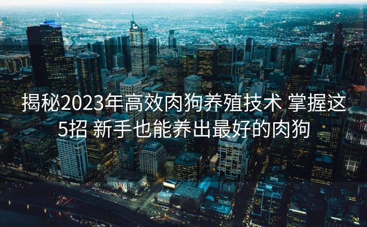 揭秘2023年高效肉狗养殖技术 掌握这5招 新手也能养出最好的肉狗
