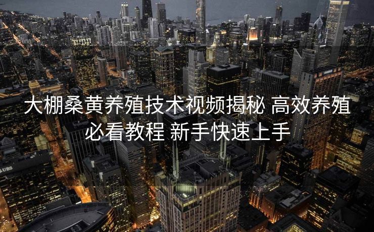 大棚桑黄养殖技术视频揭秘 高效养殖必看教程 新手快速上手