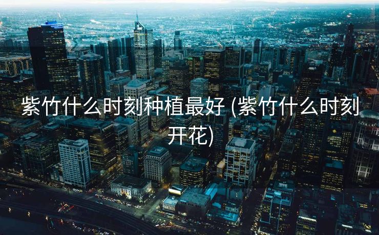 紫竹什么时刻种植最好 (紫竹什么时刻开花)