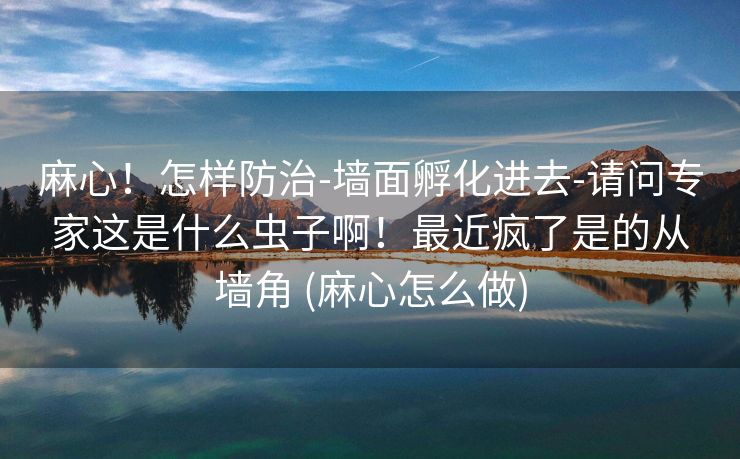 麻心！怎样防治-墙面孵化进去-请问专家这是什么虫子啊！最近疯了是的从墙角 (麻心怎么做)