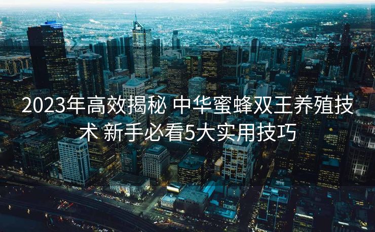 2023年高效揭秘 中华蜜蜂双王养殖技术 新手必看5大实用技巧