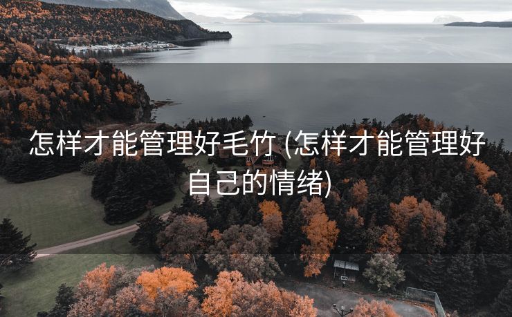 怎样才能管理好毛竹 (怎样才能管理好自己的情绪)