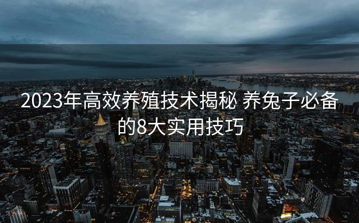 2023年高效养殖技术揭秘 养兔子必备的8大实用技巧