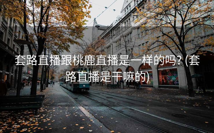 套路直播跟桃鹿直播是一样的吗? (套路直播是干嘛的)