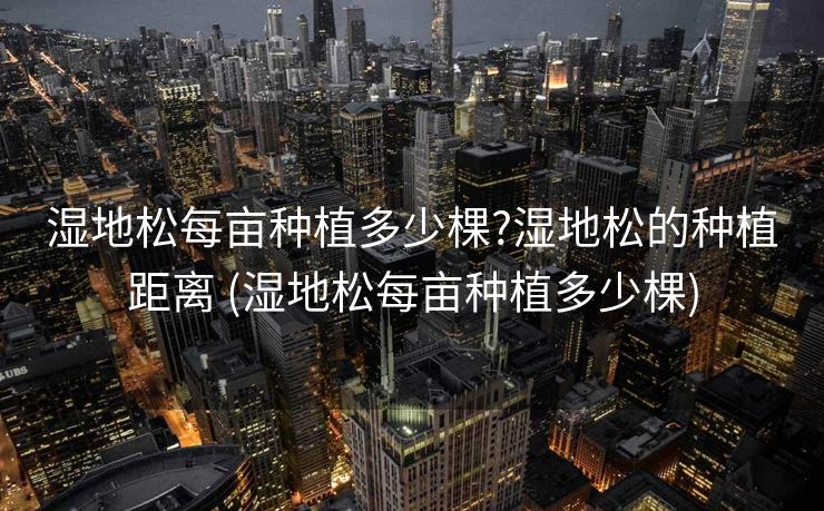湿地松每亩种植多少棵?湿地松的种植距离 (湿地松每亩种植多少棵)