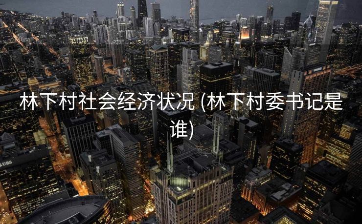 林下村社会经济状况 (林下村委书记是谁)