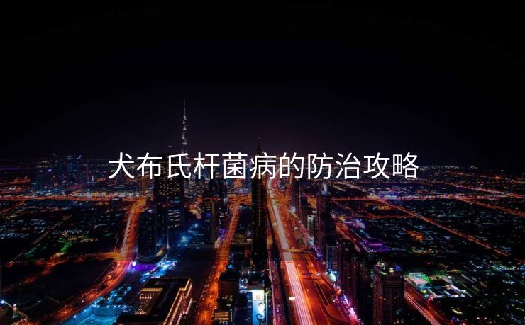 犬布氏杆菌病的防治攻略