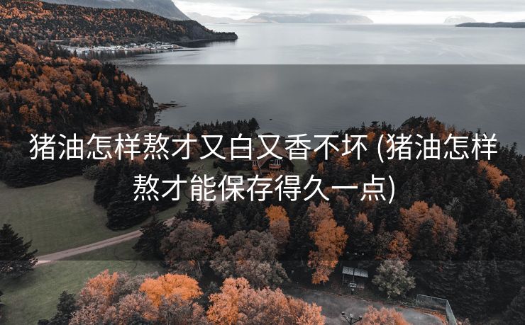 猪油怎样熬才又白又香不坏 (猪油怎样熬才能保存得久一点)