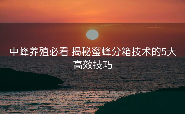 中蜂养殖必看 揭秘蜜蜂分箱技术的5大高效技巧