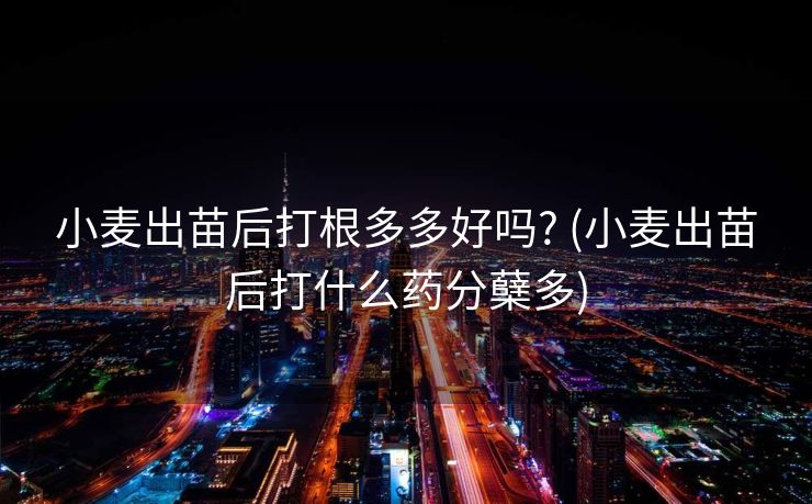 小麦出苗后打根多多好吗? (小麦出苗后打什么药分蘖多)