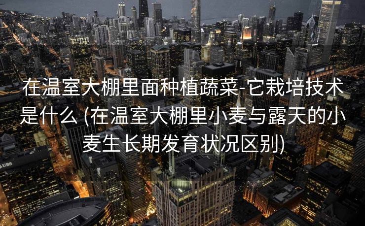 在温室大棚里面种植蔬菜-它栽培技术是什么 (在温室大棚里小麦与露天的小麦生长期发育状况区别)