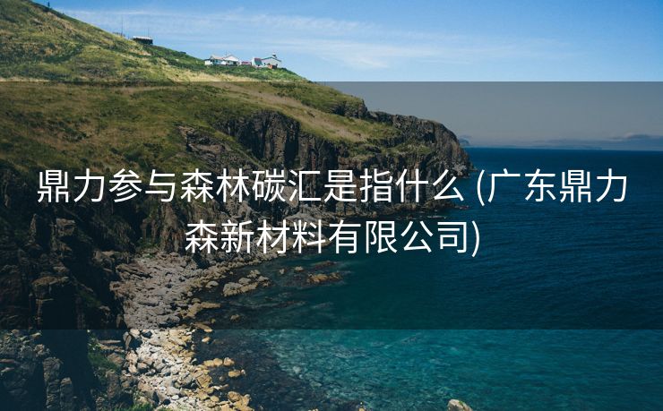 鼎力参与森林碳汇是指什么 (广东鼎力森新材料有限公司)