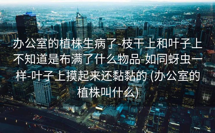办公室的植株生病了-枝干上和叶子上不知道是布满了什么物品-如同蚜虫一样-叶子上摸起来还黏黏的 (办公室的植株叫什么)